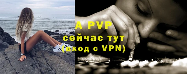 трава Аркадак